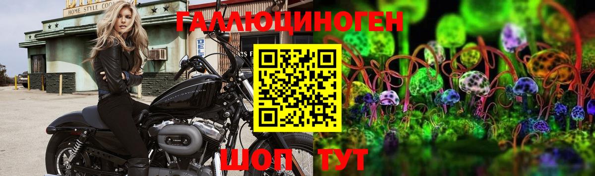 Псилоцибиновые грибы Cubensis  Галлюциногенные грибы MAGIC MUSHROOMS  Вход с VPN  Ростов-на-Дону 